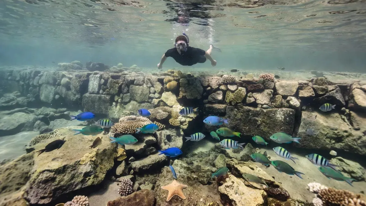 Snorkeler floating above the calm, clear seawall reef at Las Gatas Beach in Zihuatanejo Bay Mexico, with tropical fish visible among coral formations in the shallow Pacific water