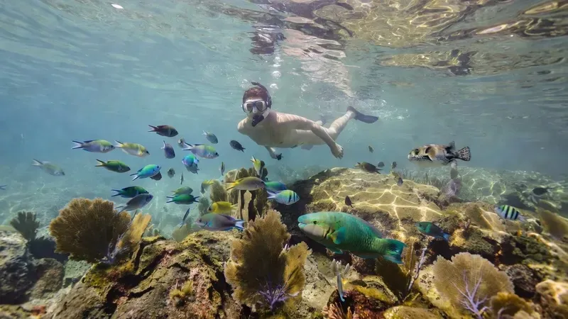 Snorkeler exploring colorful coral reef at Las Gatas Beach on a guided snorkeling tour in Zihuatanejo Mexico